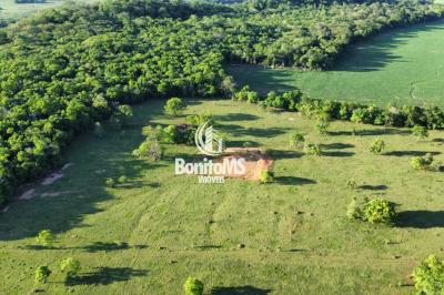 Chácara de 72 Hectares 