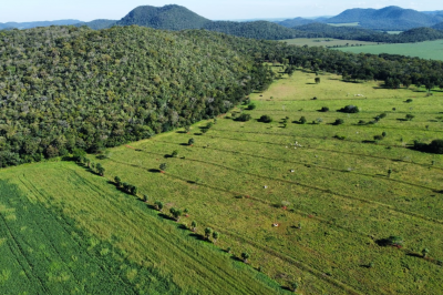 Chácara à Venda – 4 Hectares em Bonito/MS