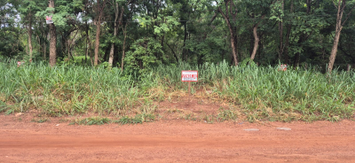 02 Terrenos na Vila Donaria