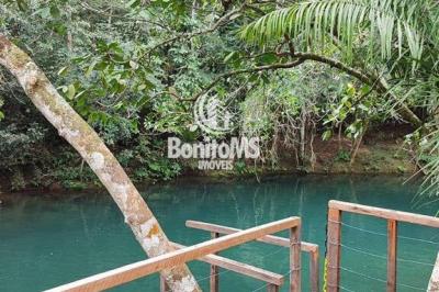 Chácara à Beira do Rio Mimoso - LOTE 2