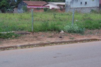 4 Terrenos juntos na Vila Marambaia 