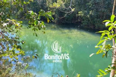 Chácara à Beira do Rio Mimoso - LOTE 4