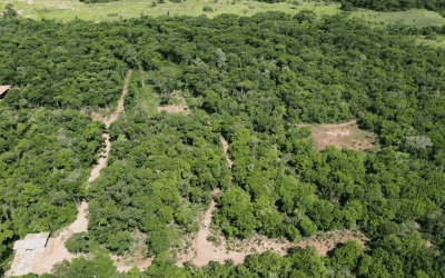 Chácara com 4 Hectares próximo a cidade